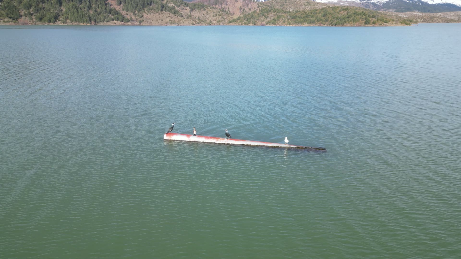 Sunken Boat
